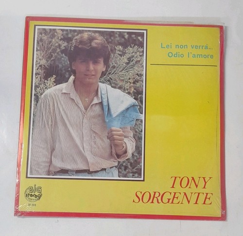 Vinile tony sorgente lei - sorgente,