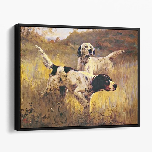Setter inglesi nel campo cani