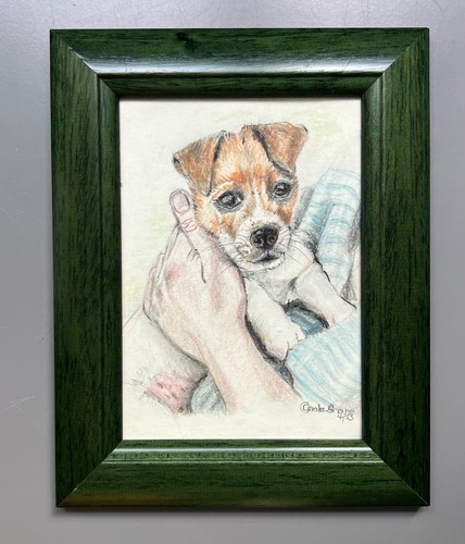 Disegno matita colorata