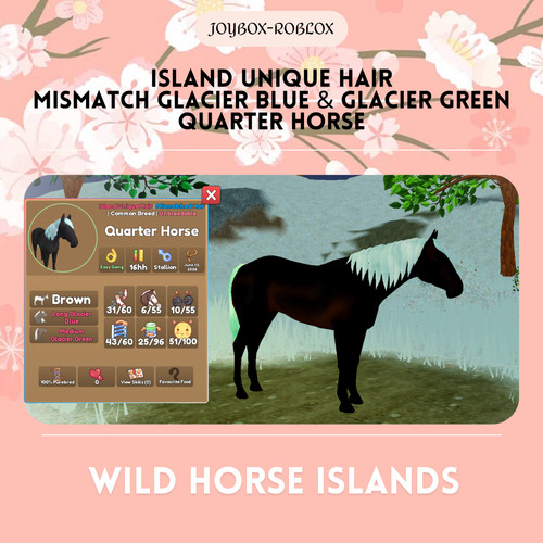 Wild horse islands - 🐎,