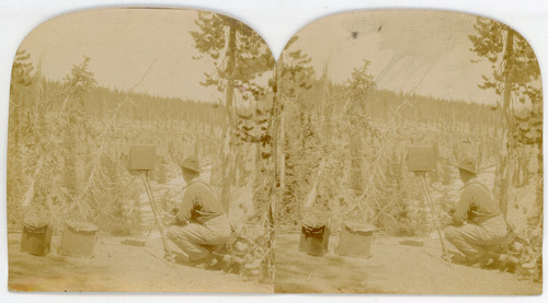 Stereo héliographe vintage - ,