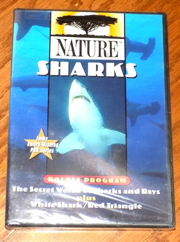 Nature pbs sharks - sharks, shark