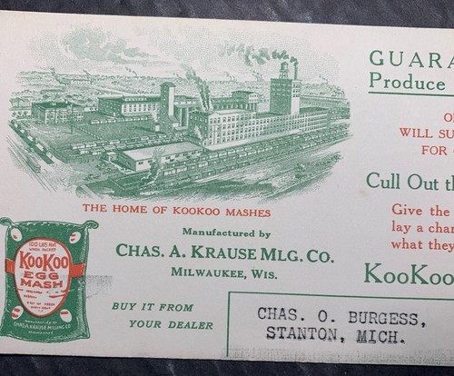 Krause kookoo egg mash blotter - kookoo,