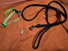 Set guinzaglio elastico