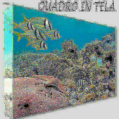 Quadri moderni tela xxl - tela,