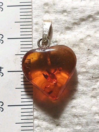 Cuore ambra attacco - cuore,