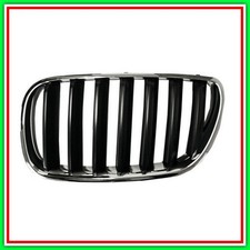 Griglia Radiatore Sinistra