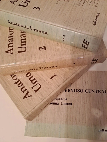 Anatomia umana vintage edi - vintage,