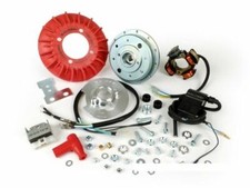 MALOSSI 5516952 ACCENSIONE ROTORE INTERNO VESPOWER Ø19 Kg 1,2 VESPA 50 SPECIAL