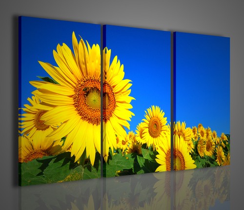 Quadri moderni sunflowers - moderni, ii