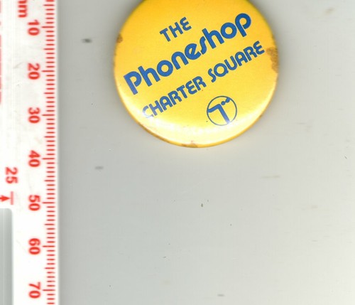 Pin badge the - pin,