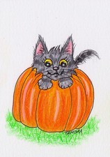 Tambra ACEO disegno artistico