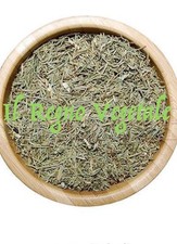 Equiseto coda cavallin pianta - equiseto,