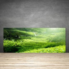 Paraspruzzi Cucina in Vetro Temperato 125x50 Prato Natura Decorazione