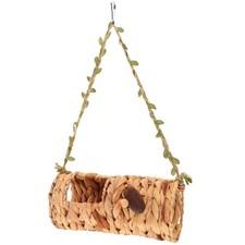  Piccoli uccelli da compagnia