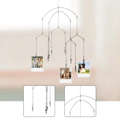 Espositore fotografico - espositore, da