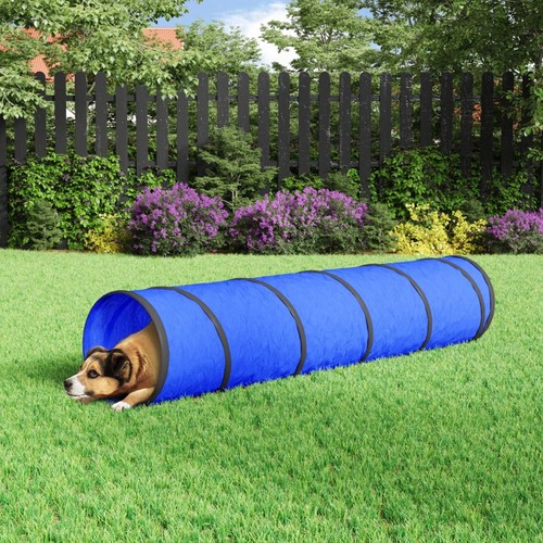 Dog tunnel tunnels - dog,