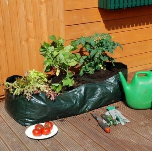 Borsa coltivazione gigante - coltivazione,