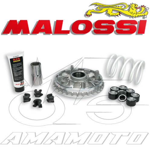 Variatore malossi multivar - malossi,