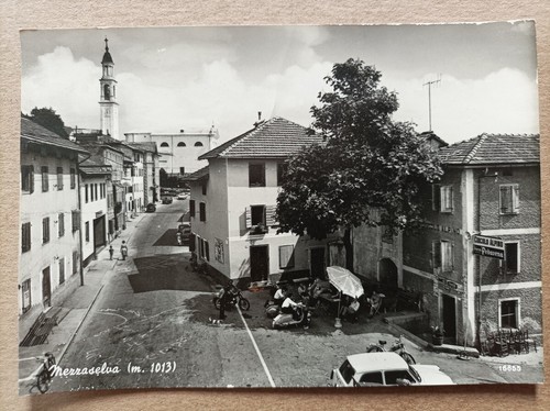 Cartolina mezzaselva roana - roana,