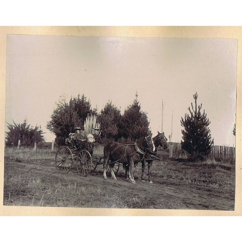 Australia family riding a - australia, in