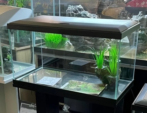 Nuovo acquario serbatoio - *,
