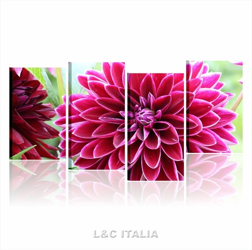 Dalia quadro moderno 152x78 - dalia,