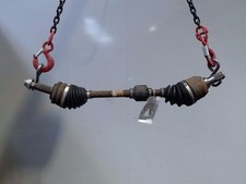 🇮🇹 TRASMISSIONE