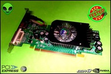 ⭐️NVIDIA GEFORCE 8600GT 256 MB DDR3 SCHEDA VIDEO PCI EXPRESS POINT OF VIEW #1478