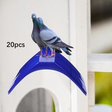 20 pz Colomba Resto Espositori