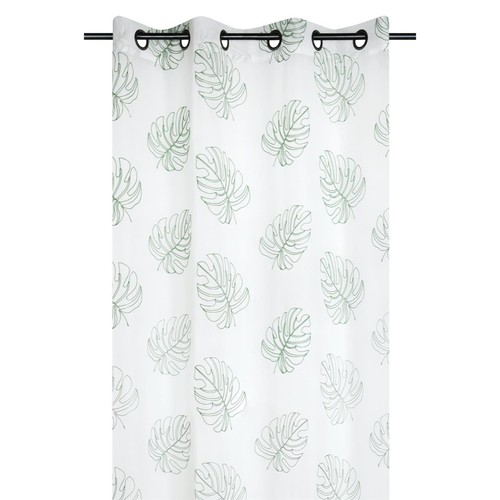 Tenda arredo velata - , kentia