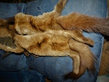 VERA STOLA VINTAGE IN