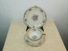 Tazza da Caffè Con Piattino + Piatto Torta Collezione Produttore Tirschenreuth