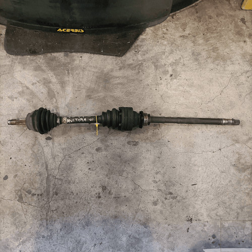 51771729 semialbero ant - 51771729,