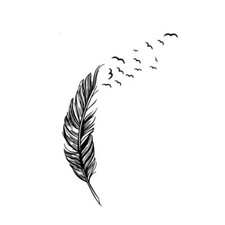 Wall Stickers - decorazione