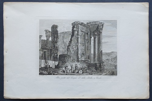 Stampa antica veduta cottafavi
