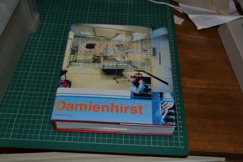 Damien hirst want spend - hirst, to