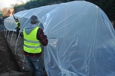 Kit polytunnel convenzionale - kit,