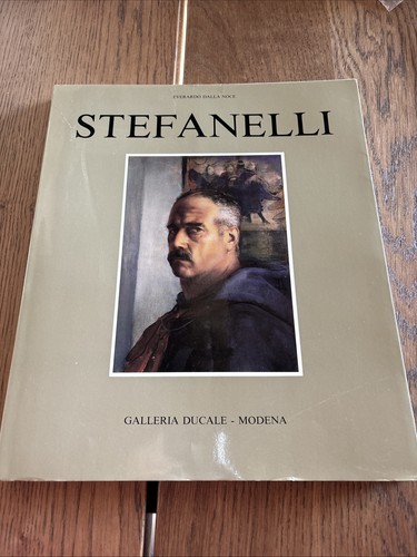 Stefanelli libro sul - libro, pittore