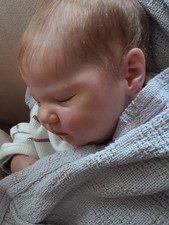 Bambola Reborn Quinlyn by Bonnie Brown & Adrie Stoete- edizione limitata