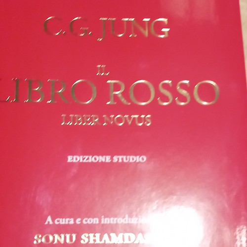 Jung il libro rosso - jung,