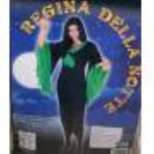 COSTUME REGINA DELLA NOTTE