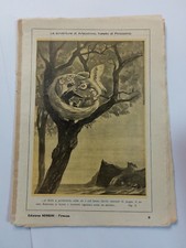 70482 Cs2 Le avventure di