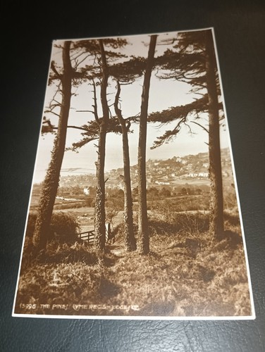 General view the pines lyme - &,