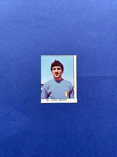 Meroni panini campioni - meroni,