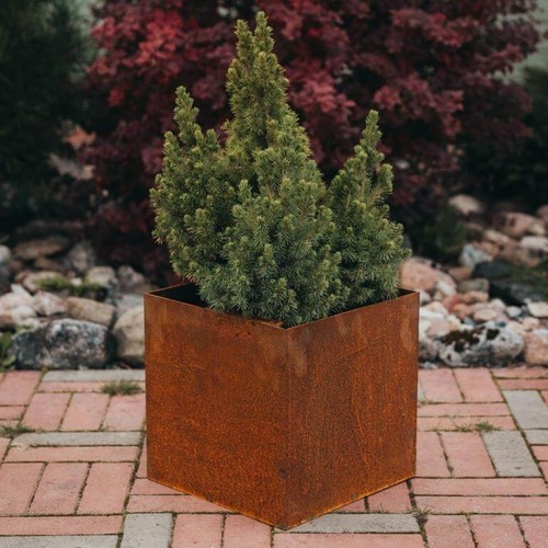 Fioriera acciaio corten - fioriera, in