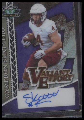 2024 leaf eclectic valiant - leaf,