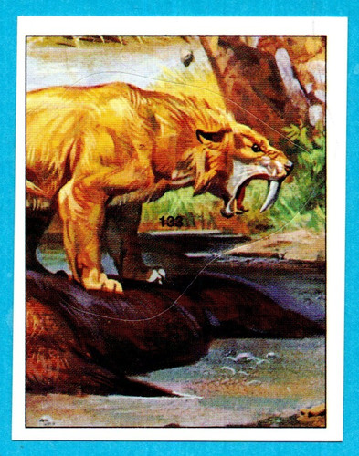 DINOSAURS/ANIMALI