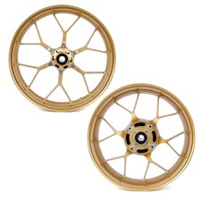 Posteriore + Anteriore Lega