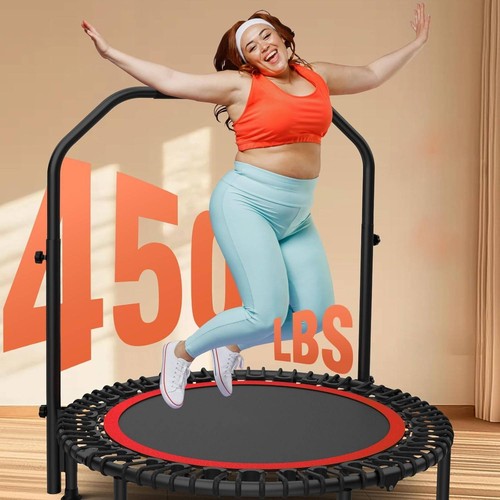 450lb fitness mini - 450lb,